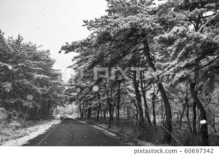 Songnisan Snow Road 60697342