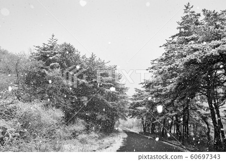 松尼斯山雪路 松尼斯山雪路 60697343