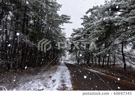 松尼斯山雪路 松尼斯山雪路 60697345