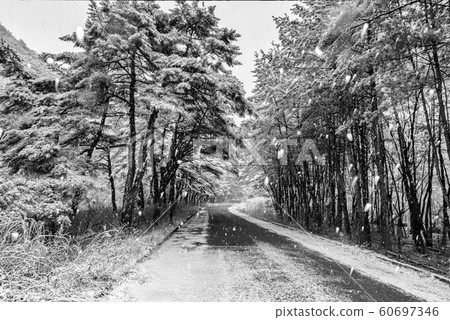 松尼斯山雪路 松尼斯山雪路 60697346