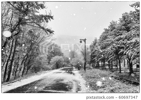 Songnisan Snow Road Songnisan Snow Road 60697347