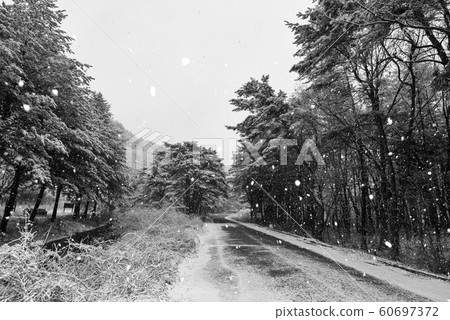 松尼斯山雪路 松尼斯山雪路 60697372