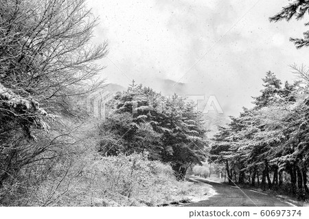 Songnisan Snow Road 60697374