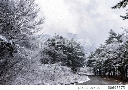 松尼斯山雪路 松尼斯山雪路 60697375