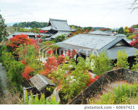 Autumn leaves at the peak of Kyoto Autumn leaves at the peak of Kyoto 60697421