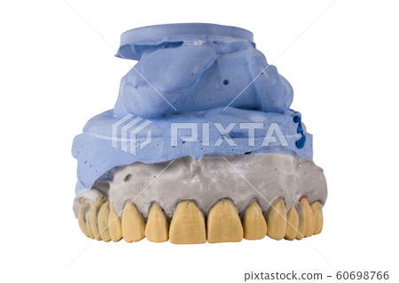 jaw tooth isolated jaw tooth isolated 60698766