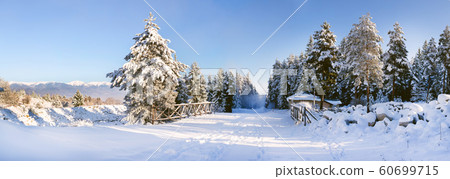Ski resort Bansko, Bulgaria, slope panorama 60699715