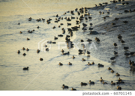 Siheung Tidal-Ecological Park, Siheung City, Gyeonggi-do Siheung Tidal-Ecological Park, Siheung City, Gyeonggi-do 60701145