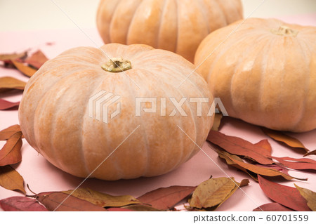 Autumn harvest time, fresh pumpkin and chestnut 097 60701559