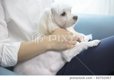 Close up of a lady hands, Daily life 121 60702067