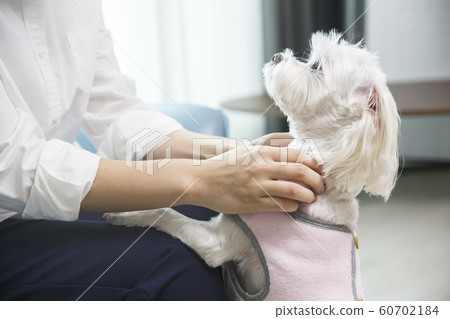 Close up of a lady hands, Daily life 075 60702184