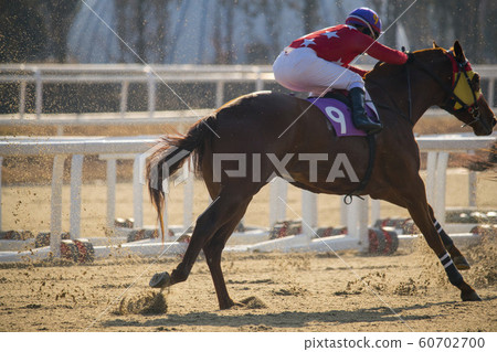 Horse Racing, Seoul Racing Park, Gwacheon, Gyeonggi-do Horse Racing, Seoul Racing Park, Gwacheon, Gyeonggi-do 60702700