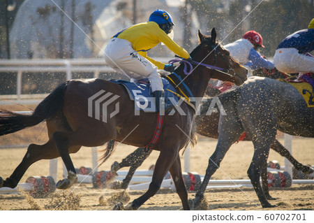 Horse Racing, Seoul Racing Park, Gwacheon, Gyeonggi-do Horse Racing, Seoul Racing Park, Gwacheon, Gyeonggi-do 60702701