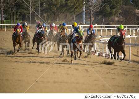 Horse Racing, Seoul Racing Park, Gwacheon, Gyeonggi-do 60702702