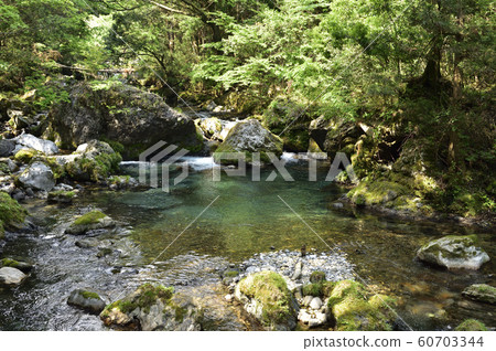 [岐阜縣]恩巴拉河 60703344