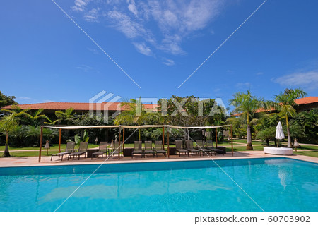 Poolside of a luxury tropical hotel resort near Porto Seguro, Bahia, Brazil Poolside of a luxury tropical hotel resort near Porto Seguro, Bahia, Brazil 60703902