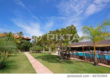 Poolside of a luxury tropical hotel resort near Porto Seguro, Bahia, Brazil Poolside of a luxury tropical hotel resort near Porto Seguro, Bahia, Brazil 60703904