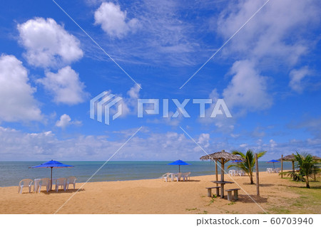 Beautiful sandy beach Praia Do Mutari Brava with beach chairs and umbrellas, Santa Cruz Cabralia, Coroa Vermelha, Porto Seguro, Bahia, Brazil Beautiful sandy beach Praia Do Mutari Brava with beach chairs and umbrellas, Santa Cruz Cabralia, Coroa Vermelha, Porto Seguro, Bahia, Brazil 60703940