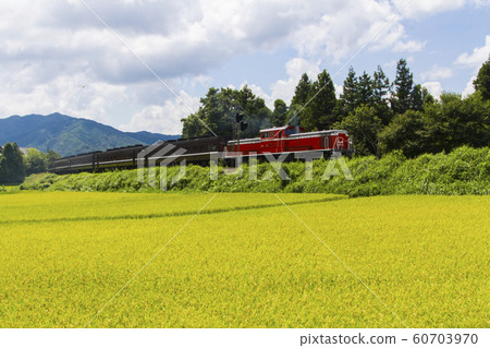 DL Yamaguchi 60703970