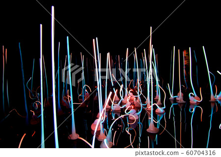 SEATTLE, WASHINGTON, USA - JAN 23rd, 2017: Glass Forest Exhibit by American Artist Dale Chihuly at Chihuly Glass and Garden Museum. SEATTLE, WASHINGTON, USA - JAN 23rd, 2017: Glass Forest Exhibit by American Artist Dale Chihuly at Chihuly Glass and Garden Museum. 60704316