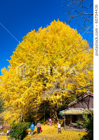 田邊市中金寺町 60704436