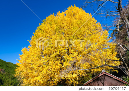 田邊市中金寺町 60704437