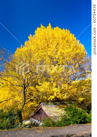 田邊市中金寺町 60704439