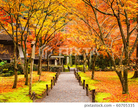 Autumn Kyoto Sanzen-inn Saigo Paradise and Yuseien Autumn Kyoto Sanzen-inn Saigo Paradise and Yuseien 60705335