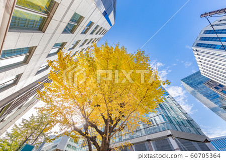 色彩鮮豔的樹木和城市建築 60705364