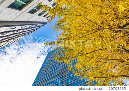 Brightly colored trees and urban buildings 60705365