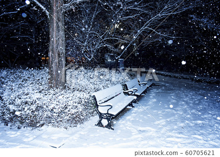 下雪的夜晚，在公園裡 60705621