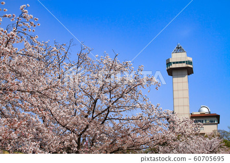 Owariasahashi城市風景在春天 Owariasahashi城市風景在春天 60705695
