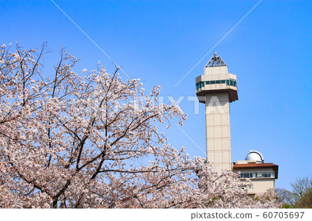Owariasahashi city landscape in spring Owariasahashi city landscape in spring 60705697