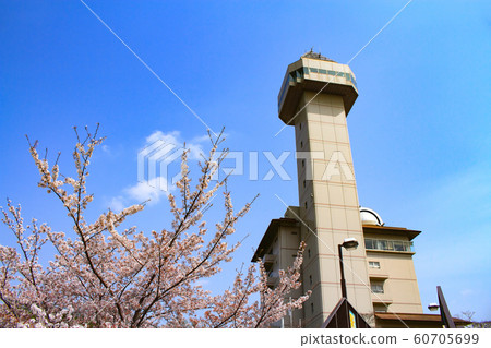 Owariasahashi城市風景在春天 60705699