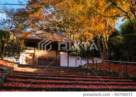 Kyoto autumn leaves anrakuji after rain Kyoto autumn leaves anrakuji after rain 60706055