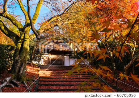 Kyoto autumn leaves anrakuji after rain Kyoto autumn leaves anrakuji after rain 60706056