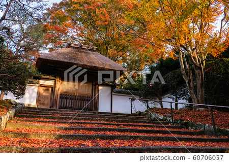 Kyoto autumn leaves anrakuji after rain Kyoto autumn leaves anrakuji after rain 60706057