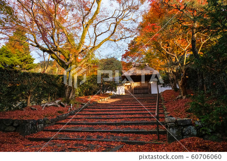 Kyoto autumn leaves anrakuji after rain Kyoto autumn leaves anrakuji after rain 60706060