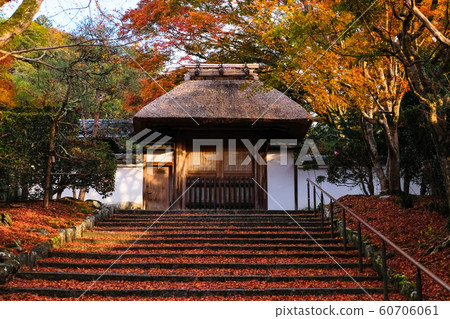Kyoto autumn leaves anrakuji after rain 60706061