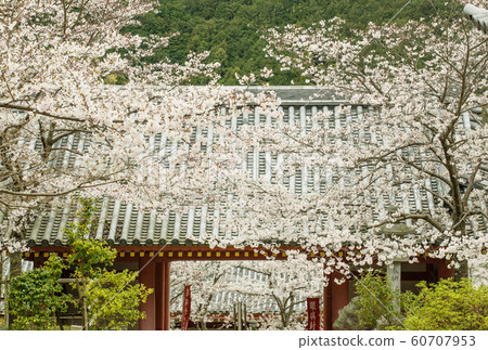 今阪南南法香寺奈良旅遊景點 60707953