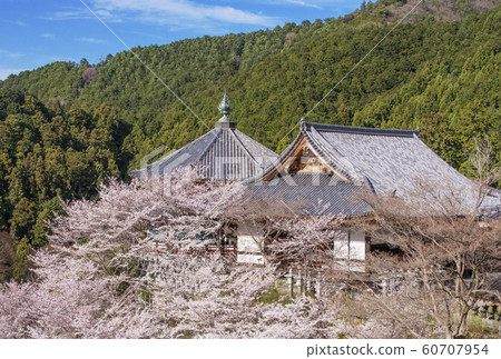 今阪南南法香寺奈良旅遊景點 60707954