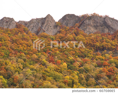 Yakenyama Autumn leaves Yakenyama Autumn leaves 60708665