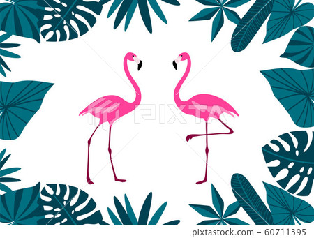 Pink Flamingo Couple with tropical leaves border. Cute exotic birds. Cartoon flat design. 60711395