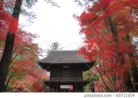 rin林寺(Sa玉縣)的秋葉 rin林寺(Sa玉縣)的秋葉 60711854