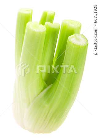 Celesry stem bundle a. graveolens, paths 60711929