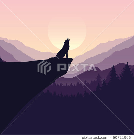wolf on a cliff howls at full moon purple nature landscape 60711966
