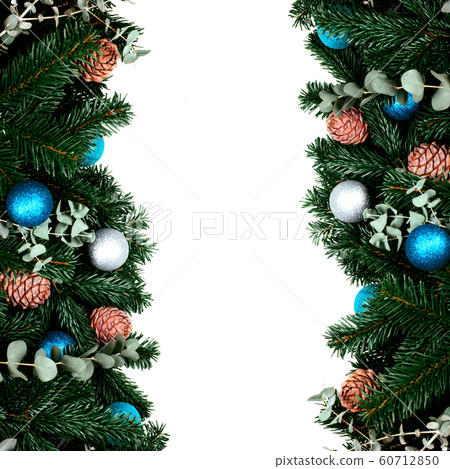 Banches of pine tree on white background. 60712850