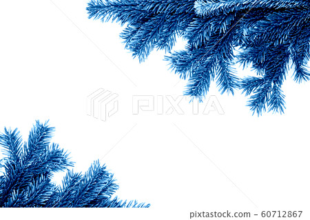 Blue branches of the pine tree Blue branches of the pine tree 60712867