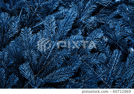 Branches of the pine tree Branches of the pine tree 60712869