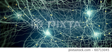 Signal transmitting neurons or nerve cells 60713045